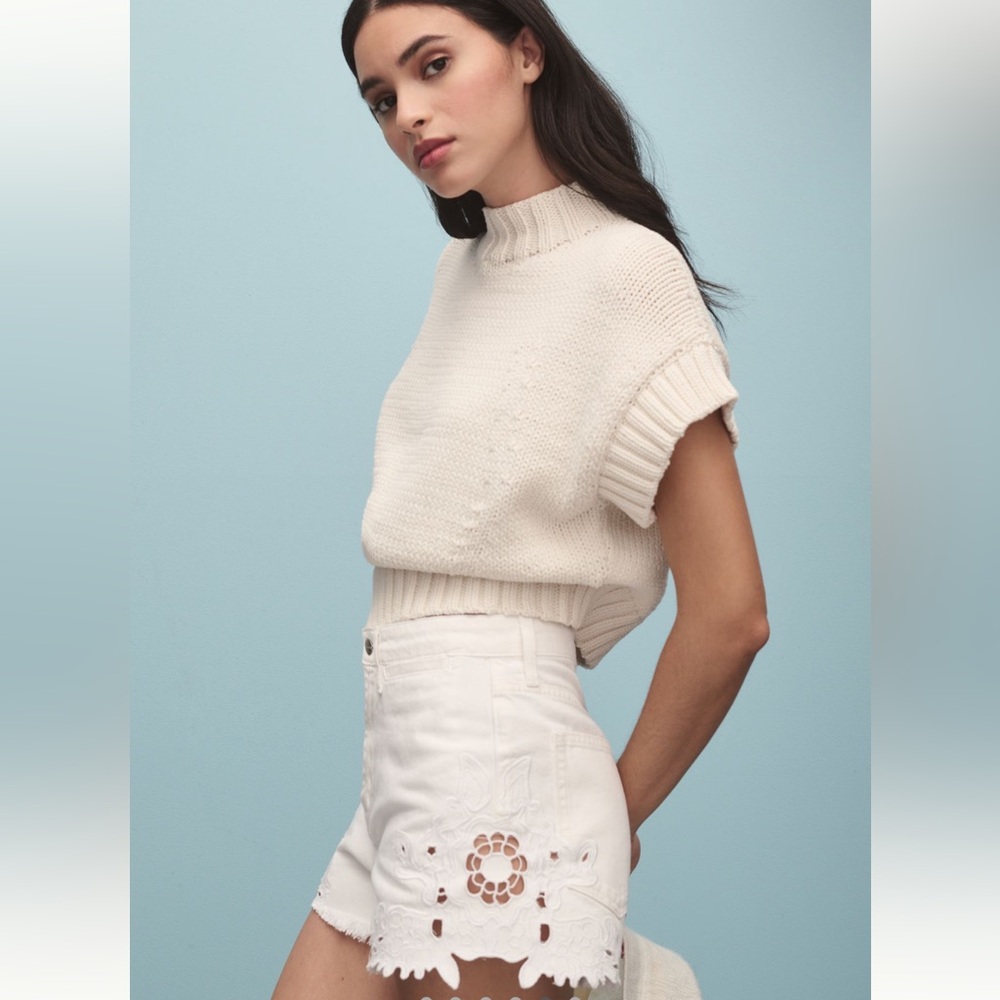 Pilcro ‘Floral Embroidered Denim Shorts’